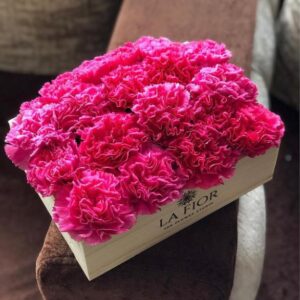 CARNATION BOUNTY