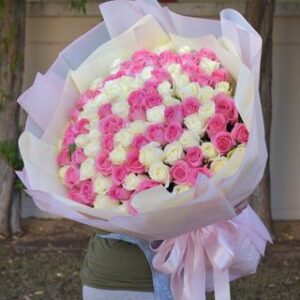 100 PINK AND WHITE ROSES