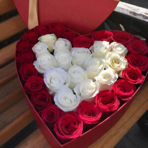 ROMANTIC WONDER