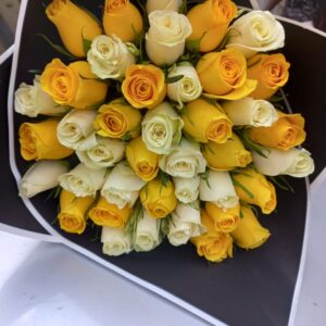SHOWERS OF LOVE