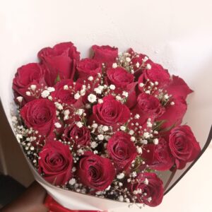 20 RED ROSES