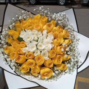 YELLOW AND WHITE