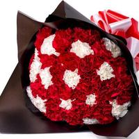 RED AND WHITE CARNATIONS