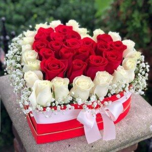 HEARTY LOVE